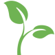cropped-flor-verde-logo-jardineros-cr.png